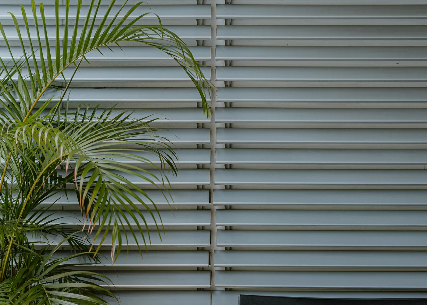 Blinds & Curtains