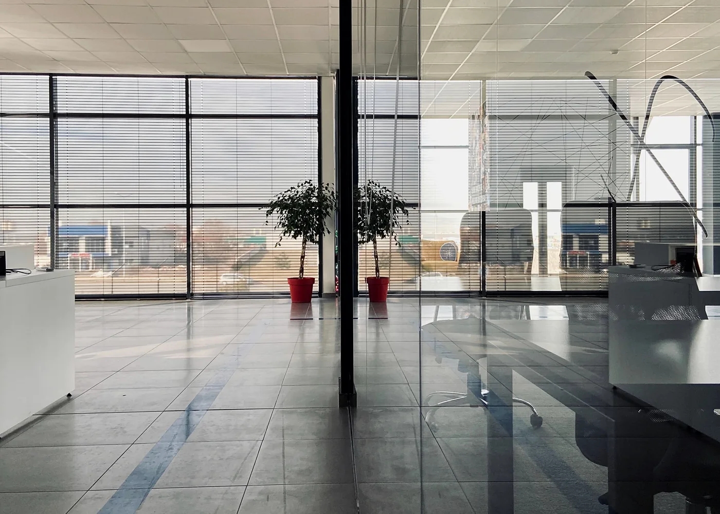 Slim Glass Partitions